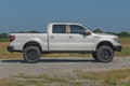 Rear Wheel Well Liners | Ford F-150 2WD/4WD (2004-2014) - The Suspension Specialists