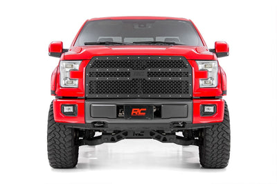 Mesh Grille | Ford F-150 2WD/4WD (2015-2017)